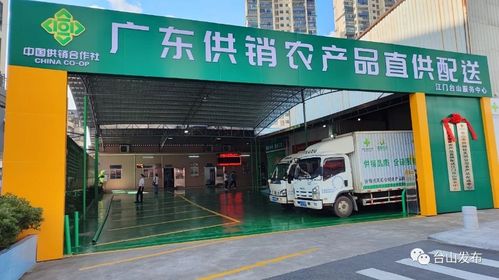 奋战百千万工程 广东供销农产品直供配送台山服务中心揭牌成立